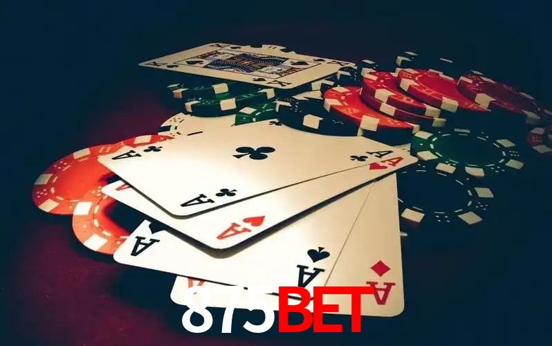 Níveis do programa VIP da 875bet